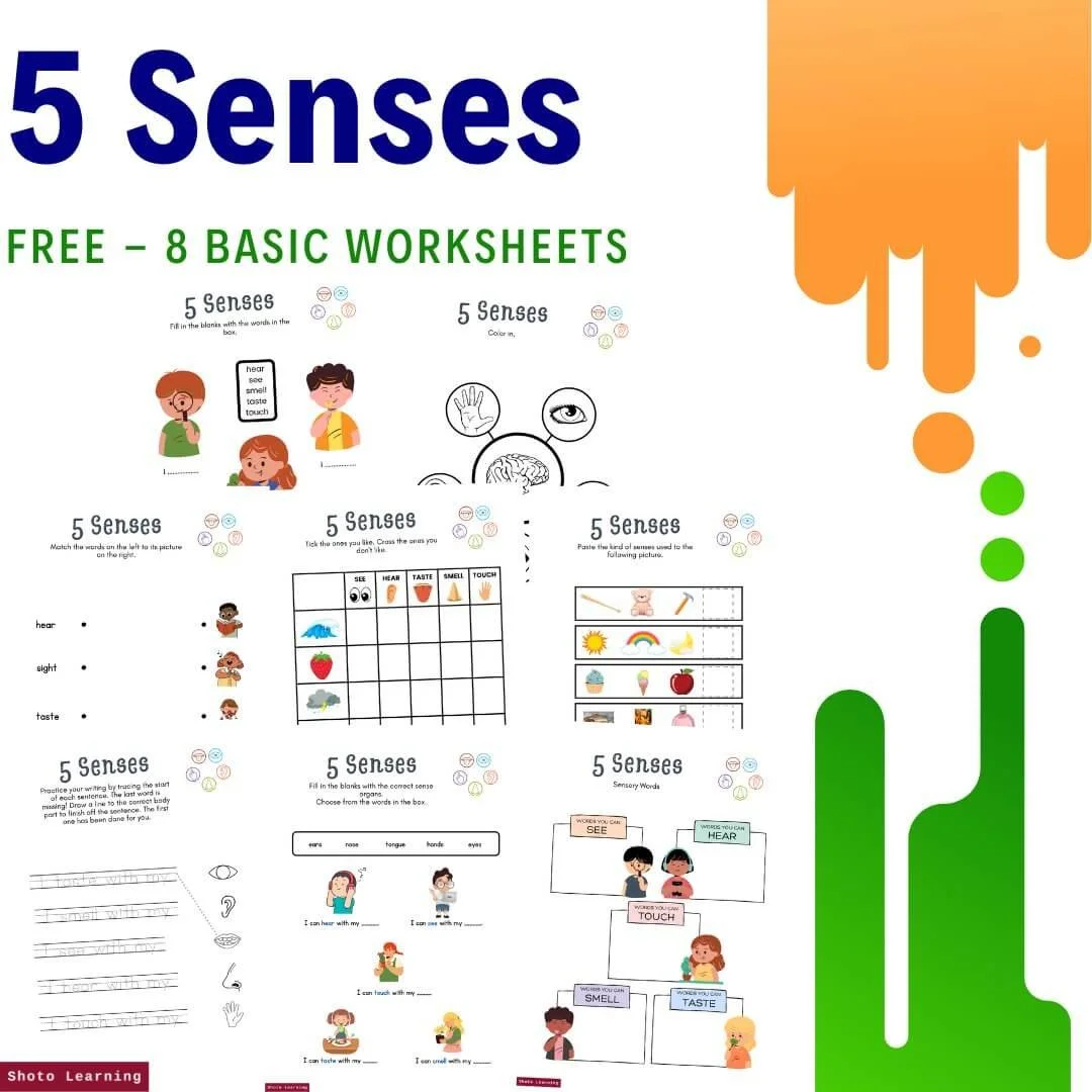 Explore the 5 Senses with Fun Crossword Puzzles for Kids